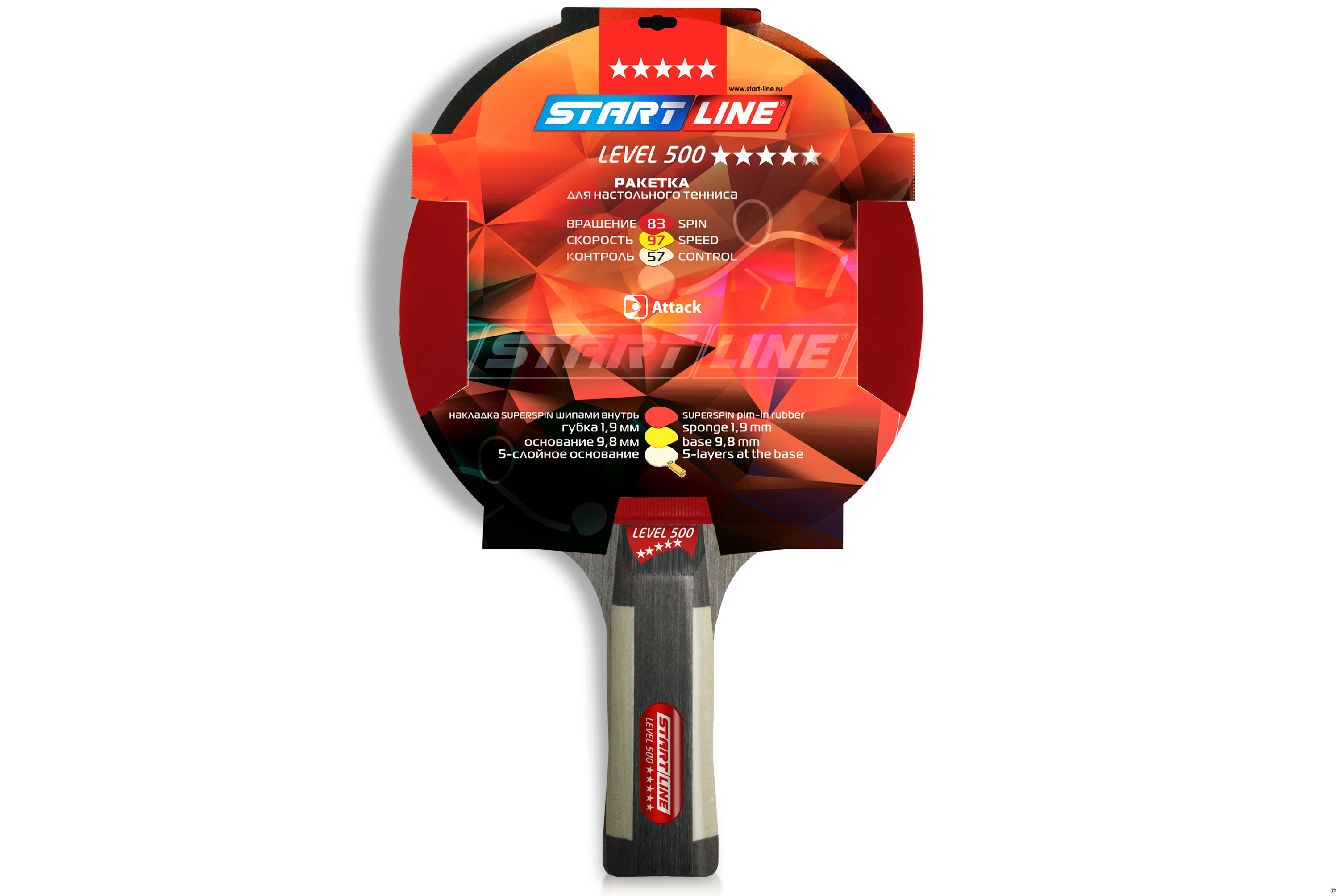 LEVEL_500_анатомическая_01