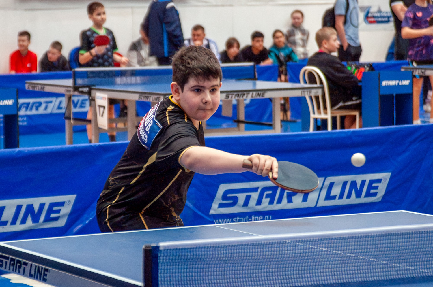 Всероссийские соревнования по настольному теннису-2024