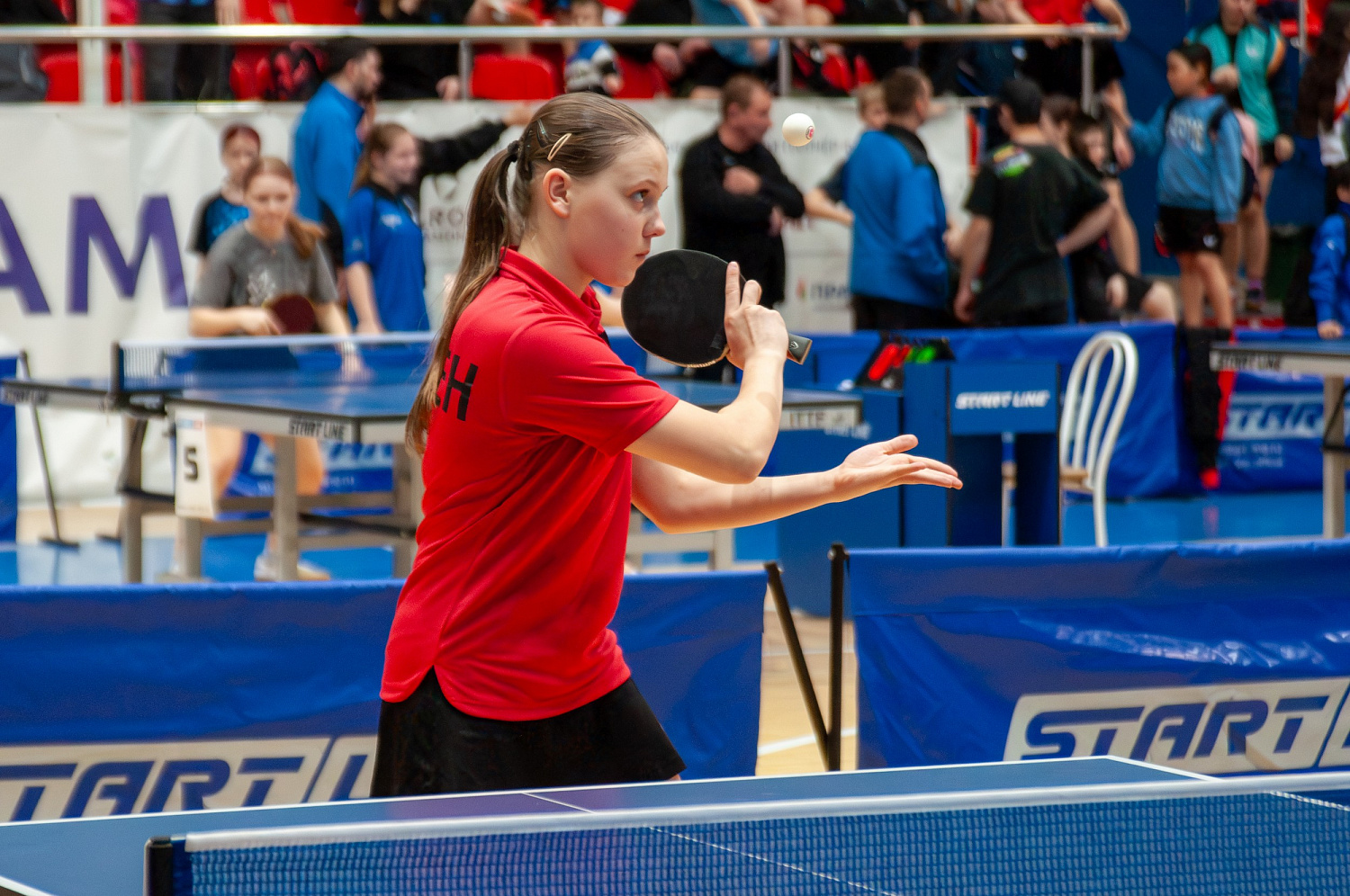 Всероссийские соревнования по настольному теннису-2024