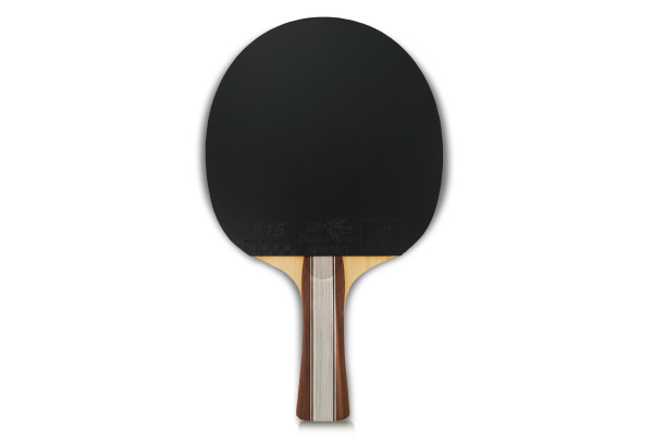 Ракетка_SL-COMPETITION_J-2_03