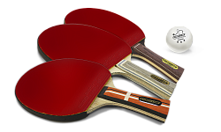 Профессиональные ракетки для настольного тенниса